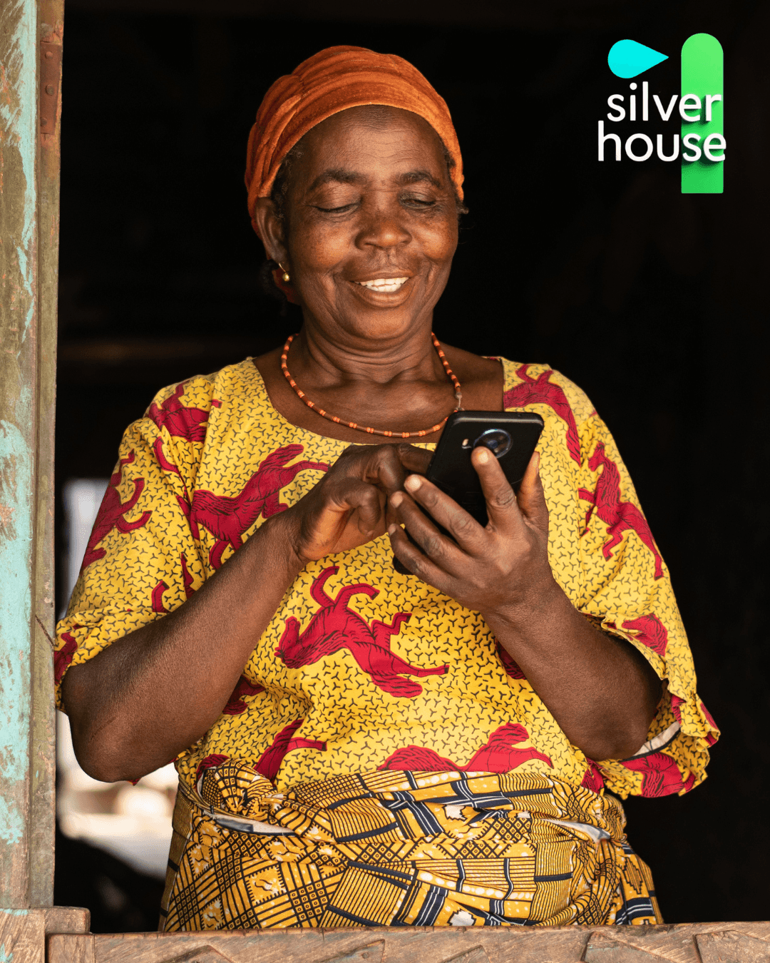 Silverhouse Softwares dashboard preview — simple financial overview